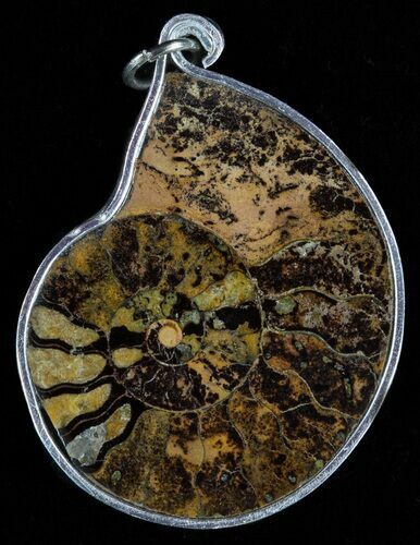 Moroccan Ammonite Fossil Pendant #58405